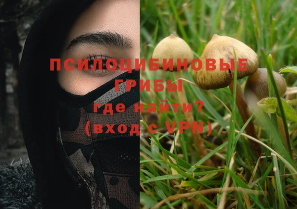 эйфоретик Нефтегорск