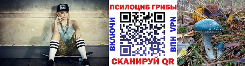 Галлюциногенные грибы Cubensis  Брюховецкая 